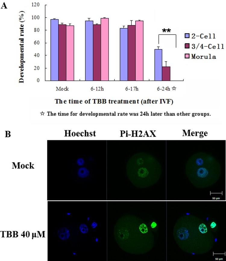 https://cdn.ncbi.nlm.nih.gov/pmc/blobs/17fa/5481635/b04d4d632912/jrd-63-319-g004.jpg