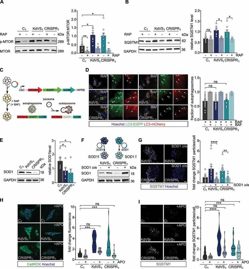 https://cdn.ncbi.nlm.nih.gov/pmc/blobs/17fa/8942553/a44ce5524307/KAUP_A_1936777_F0002_C.jpg