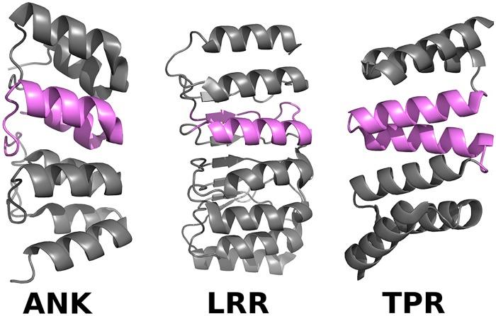 https://cdn.ncbi.nlm.nih.gov/pmc/blobs/17fe/6733475/80de3e6e2c2a/pcbi.1007282.g001.jpg
