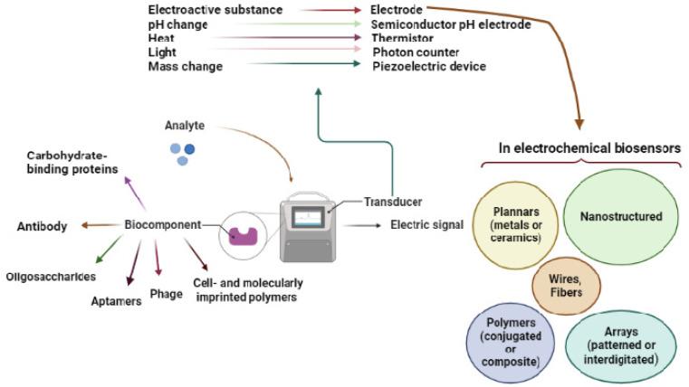 https://cdn.ncbi.nlm.nih.gov/pmc/blobs/17fe/9688024/26351e7b806b/biosensors-12-00927-g001.jpg
