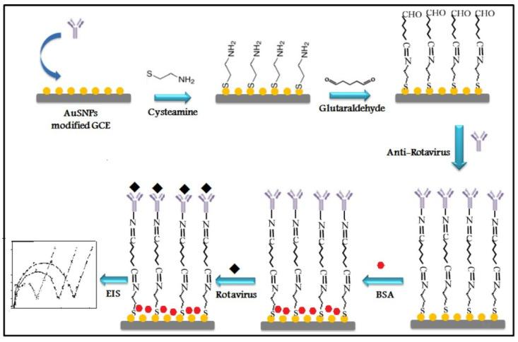https://cdn.ncbi.nlm.nih.gov/pmc/blobs/17fe/9688024/de68d9fe97c0/biosensors-12-00927-g005.jpg