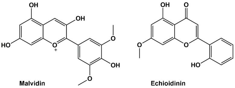https://cdn.ncbi.nlm.nih.gov/pmc/blobs/1802/11722285/6d224b90db7d/molecules-30-00173-g001.jpg