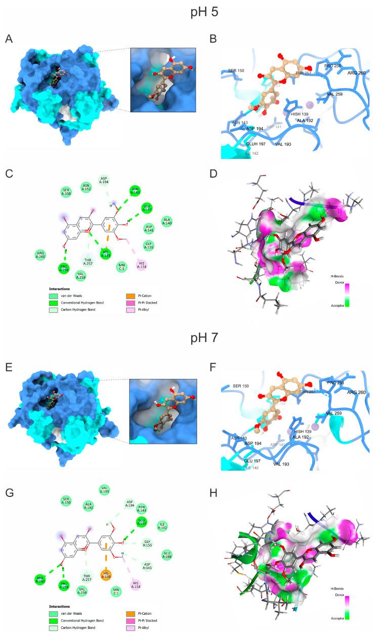 https://cdn.ncbi.nlm.nih.gov/pmc/blobs/1802/11722285/b4e443e9bcf7/molecules-30-00173-g004.jpg