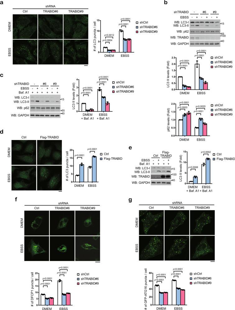 https://cdn.ncbi.nlm.nih.gov/pmc/blobs/1802/7910580/17e395c72c69/41467_2021_21715_Fig1_HTML.jpg