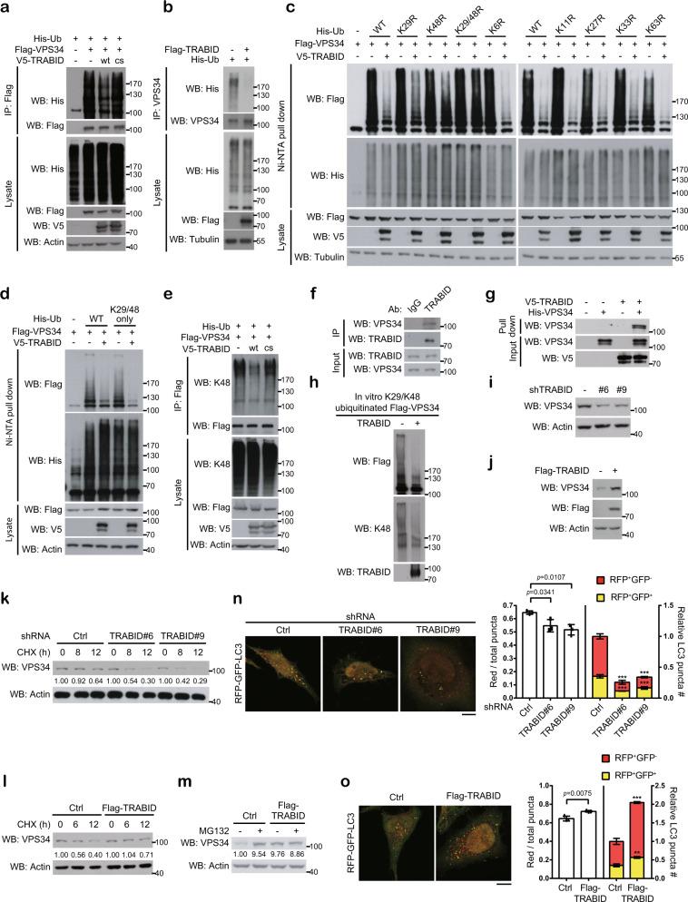 https://cdn.ncbi.nlm.nih.gov/pmc/blobs/1802/7910580/443ec79507df/41467_2021_21715_Fig2_HTML.jpg