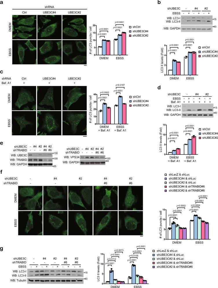 https://cdn.ncbi.nlm.nih.gov/pmc/blobs/1802/7910580/541886b76471/41467_2021_21715_Fig4_HTML.jpg