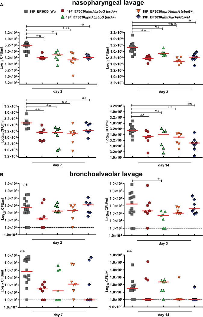https://cdn.ncbi.nlm.nih.gov/pmc/blobs/1802/7917122/0ab2345cbecb/fcimb-10-613467-g004.jpg