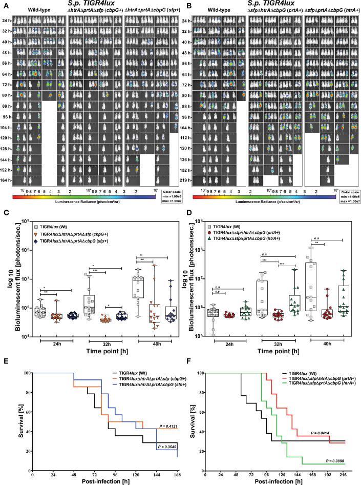 https://cdn.ncbi.nlm.nih.gov/pmc/blobs/1802/7917122/70fe4f38158e/fcimb-10-613467-g005.jpg