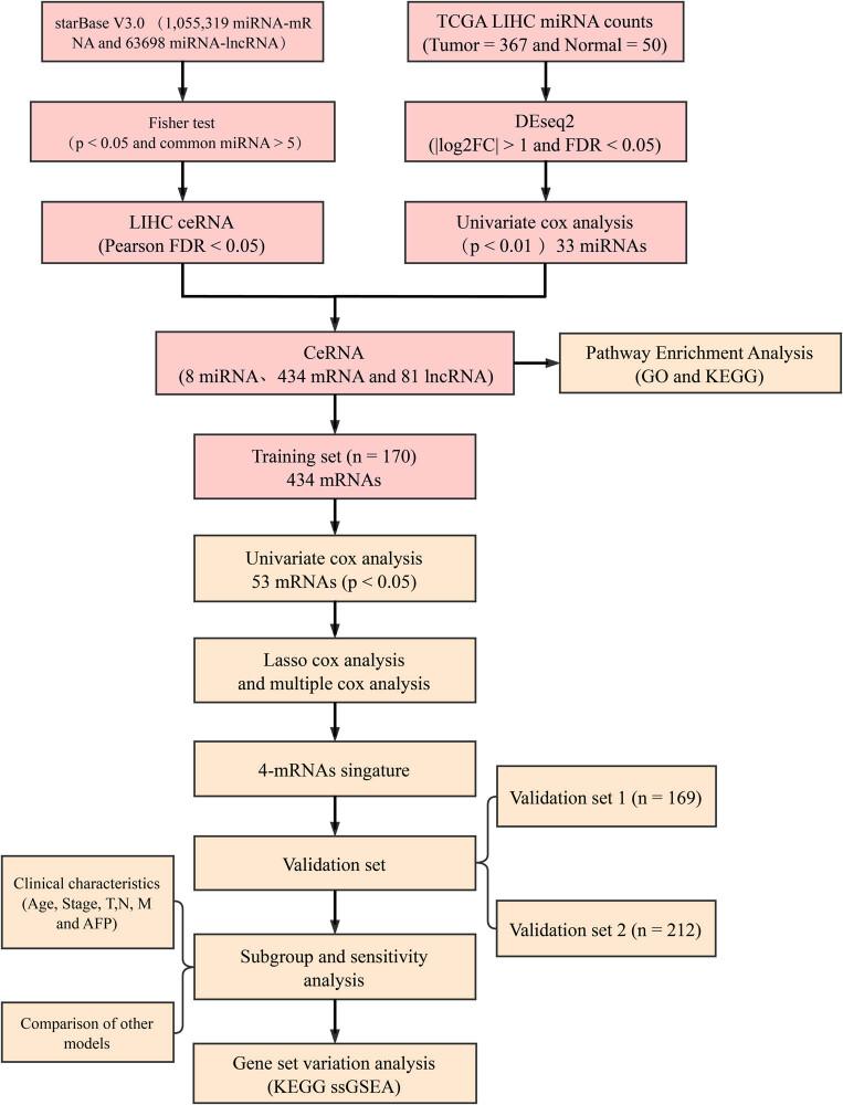 https://cdn.ncbi.nlm.nih.gov/pmc/blobs/1802/8742913/16615cbe4230/j_med-2021-0405-fig001.jpg