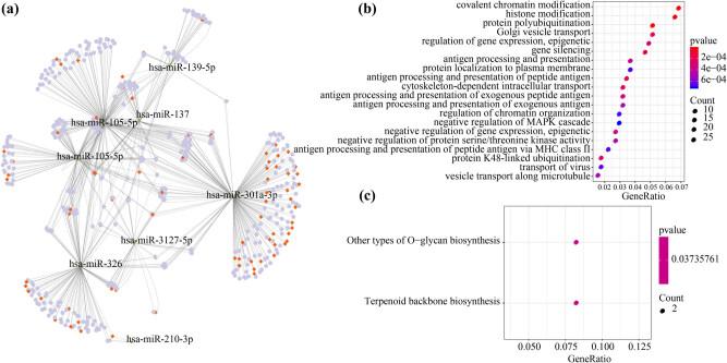 https://cdn.ncbi.nlm.nih.gov/pmc/blobs/1802/8742913/586f44d6ab08/j_med-2021-0405-fig003.jpg