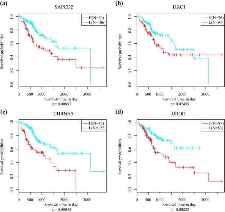https://cdn.ncbi.nlm.nih.gov/pmc/blobs/1802/8742913/9d48e40fa7d9/j_med-2021-0405-fig008.jpg