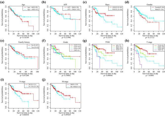 https://cdn.ncbi.nlm.nih.gov/pmc/blobs/1802/8742913/c795273641da/j_med-2021-0405-fig009.jpg