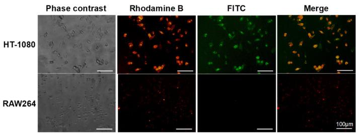 https://cdn.ncbi.nlm.nih.gov/pmc/blobs/1803/9607438/13b0cd8d3123/polymers-14-04314-g004.jpg
