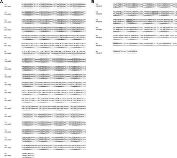 https://cdn.ncbi.nlm.nih.gov/pmc/blobs/1805/4236532/5dd69afc0a26/s12863-014-0094-7-3.jpg