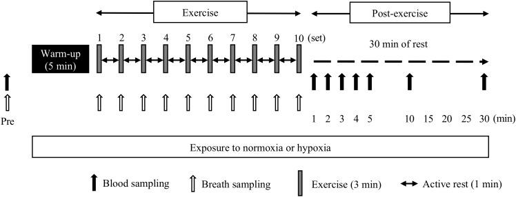 https://cdn.ncbi.nlm.nih.gov/pmc/blobs/1805/6531820/eb20a9be566c/fphys-10-00504-g001.jpg