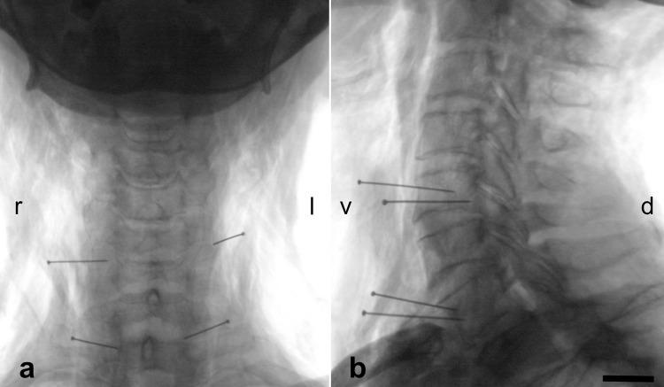 https://cdn.ncbi.nlm.nih.gov/pmc/blobs/1806/4332499/bfae03298873/pone.0118006.g003.jpg