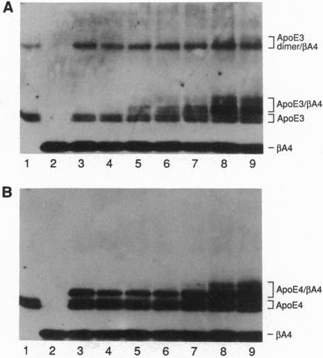 https://cdn.ncbi.nlm.nih.gov/pmc/blobs/1806/47295/2926b9002835/pnas01474-0199-a.jpg