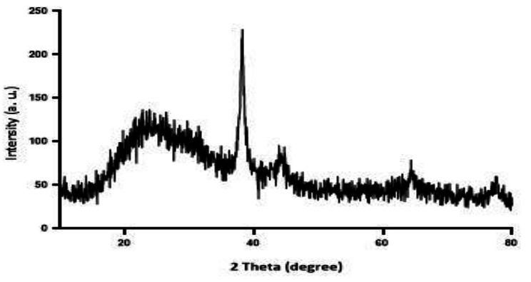 https://cdn.ncbi.nlm.nih.gov/pmc/blobs/1808/10826267/e637581f6b36/13104_2023_6402_Fig1_HTML.jpg