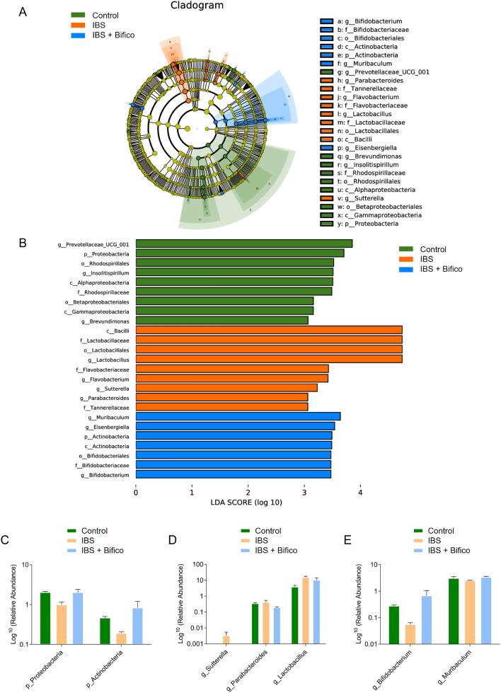 https://cdn.ncbi.nlm.nih.gov/pmc/blobs/1808/9899748/182d9dd8ff0d/394_2022_2958_Fig4_HTML.jpg