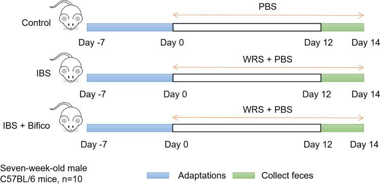 https://cdn.ncbi.nlm.nih.gov/pmc/blobs/1808/9899748/2c1a6ea24b07/394_2022_2958_Fig1_HTML.jpg