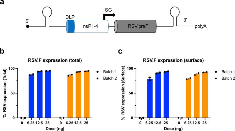 https://cdn.ncbi.nlm.nih.gov/pmc/blobs/180a/11564874/eece261eb603/41467_2024_54289_Fig1_HTML.jpg