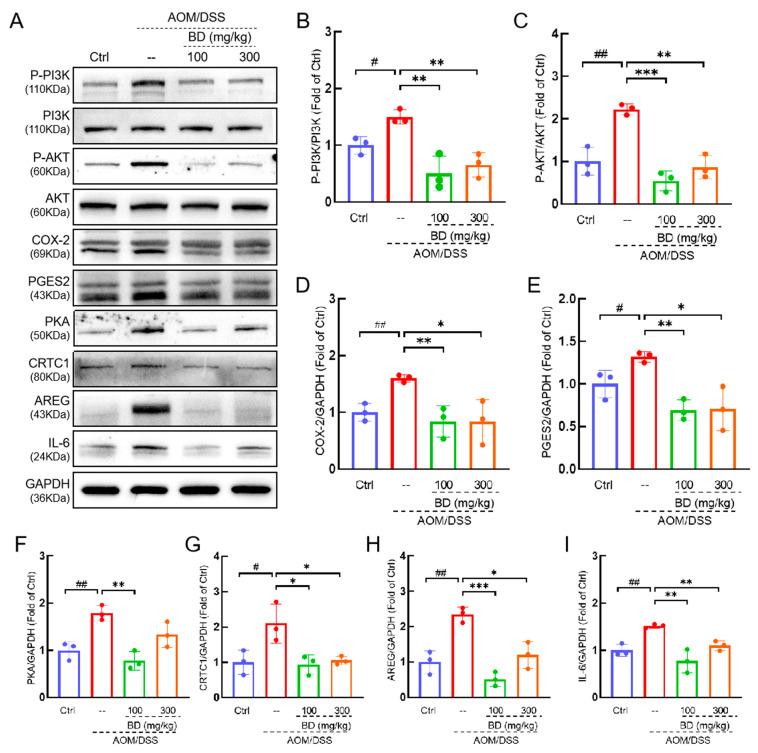 https://cdn.ncbi.nlm.nih.gov/pmc/blobs/180b/11643906/3035d3fcea23/nutrients-16-04048-g006.jpg