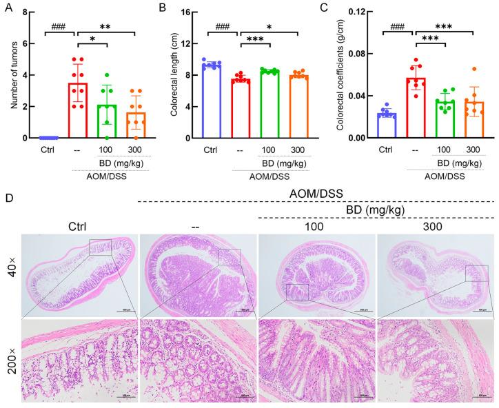 https://cdn.ncbi.nlm.nih.gov/pmc/blobs/180b/11643906/cf5b88b6153e/nutrients-16-04048-g002.jpg
