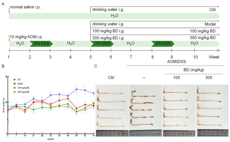https://cdn.ncbi.nlm.nih.gov/pmc/blobs/180b/11643906/d7e1d3d7a86c/nutrients-16-04048-g001.jpg