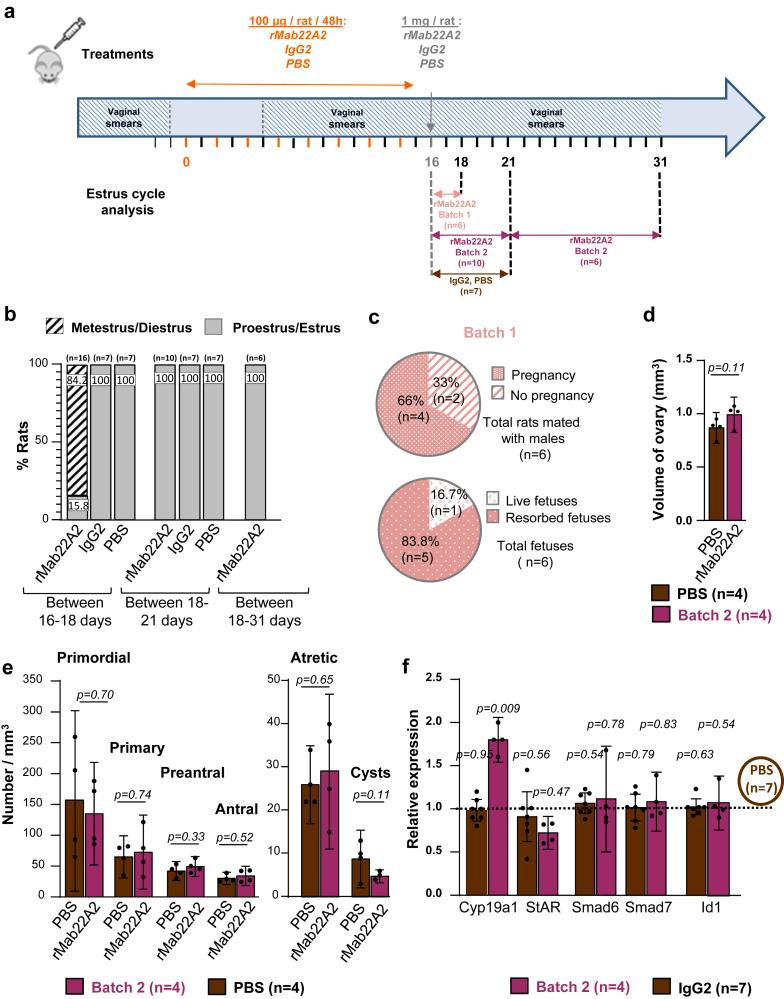 https://cdn.ncbi.nlm.nih.gov/pmc/blobs/180b/12032919/15f9ac78a693/gr6.jpg