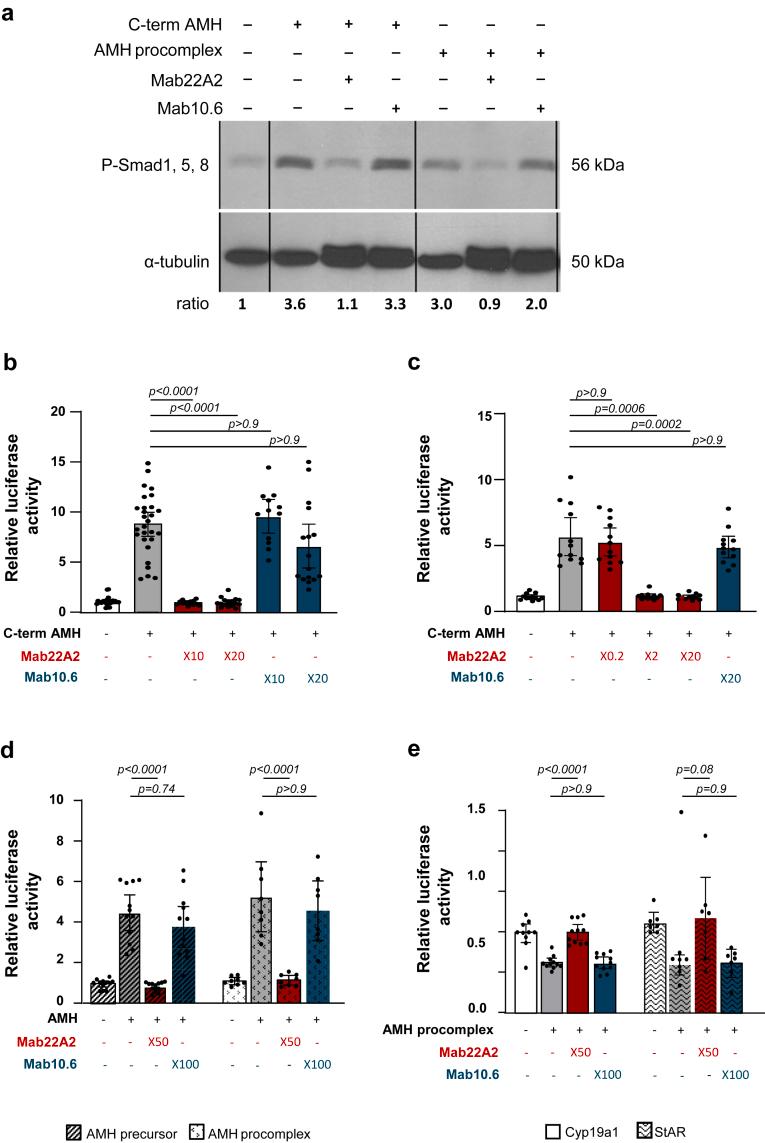 https://cdn.ncbi.nlm.nih.gov/pmc/blobs/180b/12032919/8d3c23434ec5/gr1.jpg