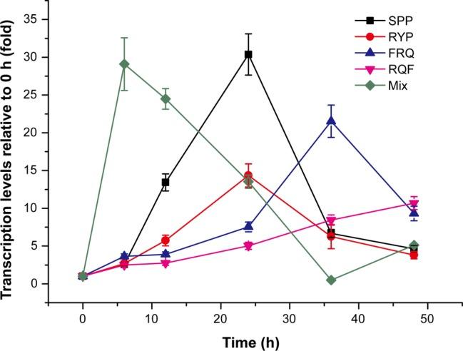 https://cdn.ncbi.nlm.nih.gov/pmc/blobs/180b/6606773/399344418e57/fmicb-10-01354-g004.jpg