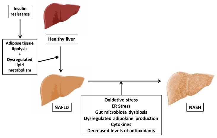 https://cdn.ncbi.nlm.nih.gov/pmc/blobs/180c/6521137/9f5c6d4f9b5e/nutrients-11-00872-g001.jpg