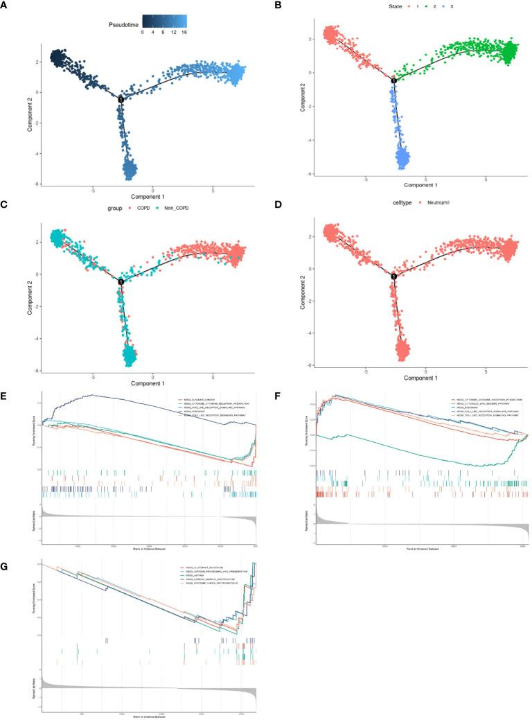 https://cdn.ncbi.nlm.nih.gov/pmc/blobs/180d/11169582/1be993c16f49/fimmu-15-1410158-g004.jpg