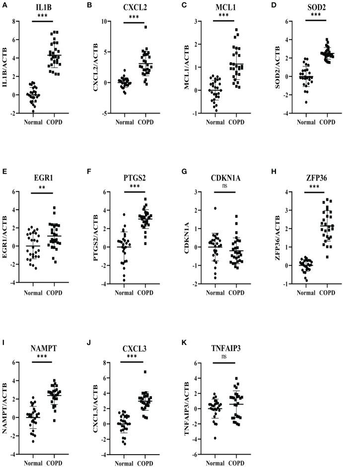 https://cdn.ncbi.nlm.nih.gov/pmc/blobs/180d/11169582/79d77f07ad4b/fimmu-15-1410158-g009.jpg