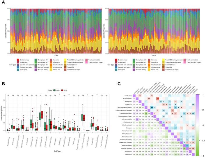 https://cdn.ncbi.nlm.nih.gov/pmc/blobs/180d/11169582/cbe7aff1544a/fimmu-15-1410158-g005.jpg