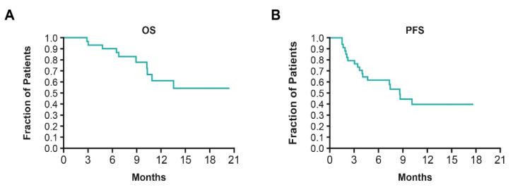 https://cdn.ncbi.nlm.nih.gov/pmc/blobs/1810/9913762/09dbdf2541dd/cancers-15-00636-g005.jpg