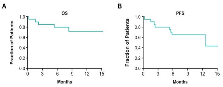 https://cdn.ncbi.nlm.nih.gov/pmc/blobs/1810/9913762/3c3193928a54/cancers-15-00636-g007.jpg
