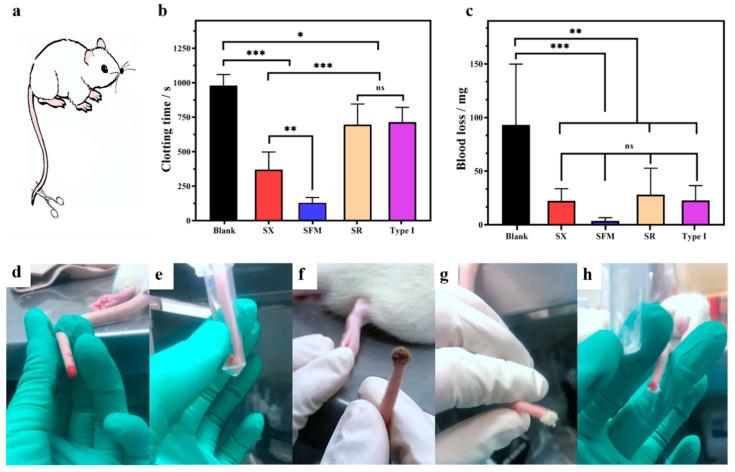 https://cdn.ncbi.nlm.nih.gov/pmc/blobs/1811/8071530/361258aad146/marinedrugs-19-00220-g003.jpg