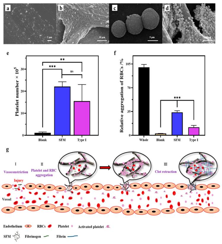 https://cdn.ncbi.nlm.nih.gov/pmc/blobs/1811/8071530/d57fa4d6b11c/marinedrugs-19-00220-g005.jpg