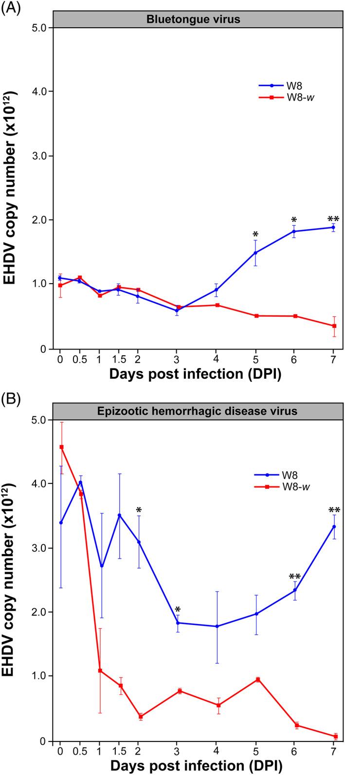 https://cdn.ncbi.nlm.nih.gov/pmc/blobs/1813/9540819/5ced98e06bc2/MVE-36-320-g001.jpg