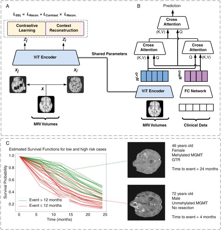 https://cdn.ncbi.nlm.nih.gov/pmc/blobs/1816/11327617/4573614050bc/vdae122_fig1.jpg