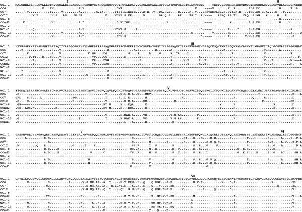 https://cdn.ncbi.nlm.nih.gov/pmc/blobs/1816/3511184/496dfad1dd2f/1471-2156-13-86-5.jpg