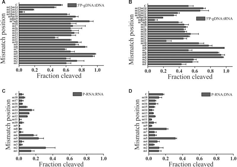 https://cdn.ncbi.nlm.nih.gov/pmc/blobs/1816/7897485/cdb793a70c82/gkaa1278fig5.jpg