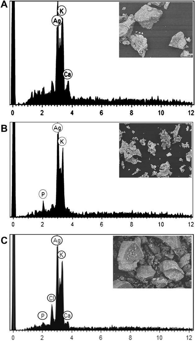 https://cdn.ncbi.nlm.nih.gov/pmc/blobs/1816/8548519/f3fb68612417/41598_2021_520_Fig7_HTML.jpg