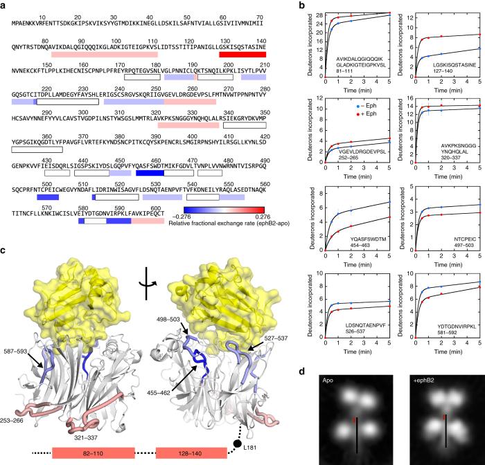 https://cdn.ncbi.nlm.nih.gov/pmc/blobs/1817/5626764/50f1a5e8e383/41467_2017_863_Fig5_HTML.jpg
