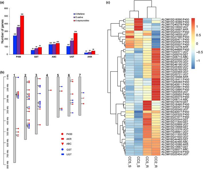 https://cdn.ncbi.nlm.nih.gov/pmc/blobs/1819/10108218/2d0328c68a14/NPH-237-1891-g007.jpg
