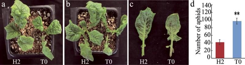 https://cdn.ncbi.nlm.nih.gov/pmc/blobs/1819/11879403/2620a616e408/uhae314f7.jpg