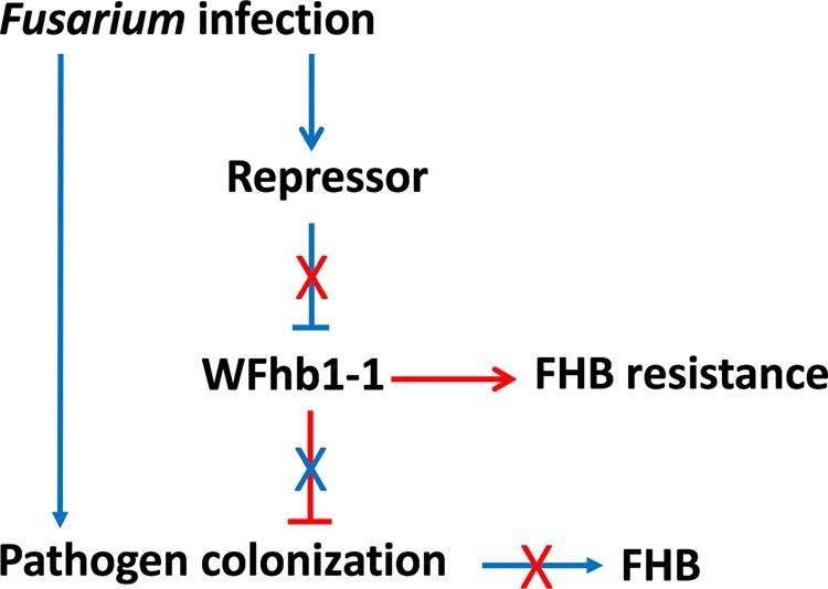 https://cdn.ncbi.nlm.nih.gov/pmc/blobs/181b/7210279/8881148a360f/41598_2020_64777_Fig8_HTML.jpg