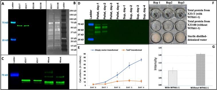 https://cdn.ncbi.nlm.nih.gov/pmc/blobs/181b/7210279/ce47068758b8/41598_2020_64777_Fig2_HTML.jpg