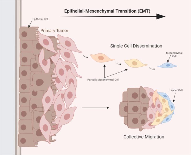 https://cdn.ncbi.nlm.nih.gov/pmc/blobs/181d/7067809/d84995ac23c5/41392_2020_134_Fig3_HTML.jpg